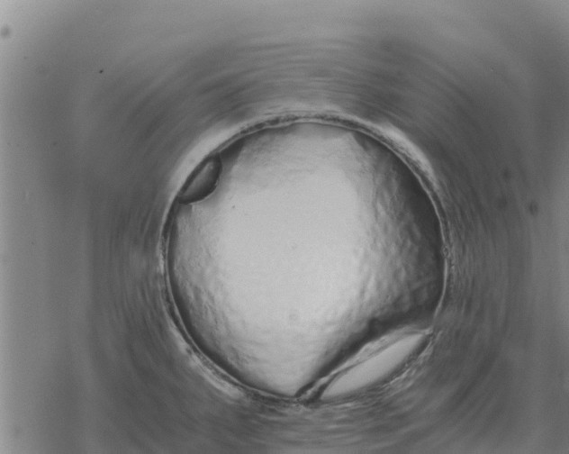 X0000076431287200610271724