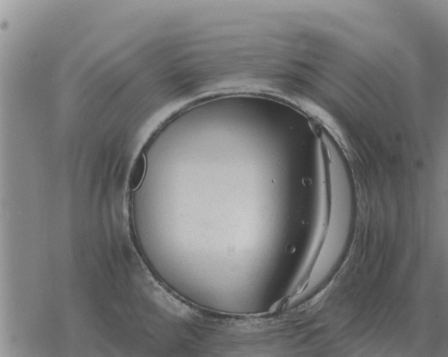 X0000076431288200610271724