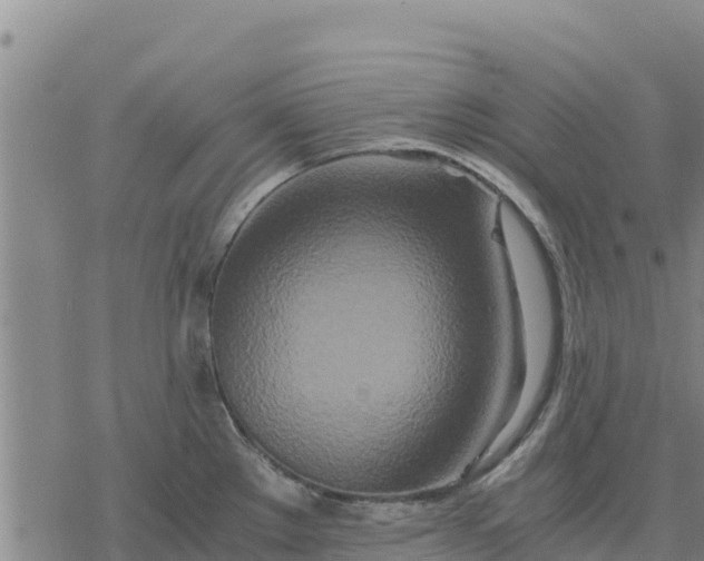 X0000076431289200610271724