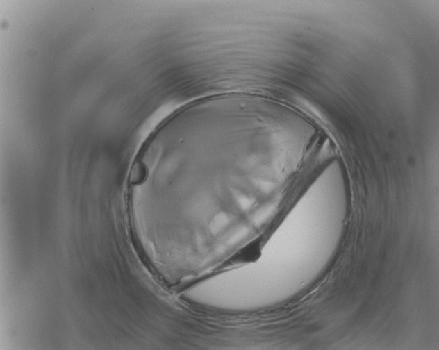 X0000076431291200610271724