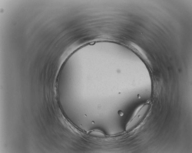 X0000076431292200610271724