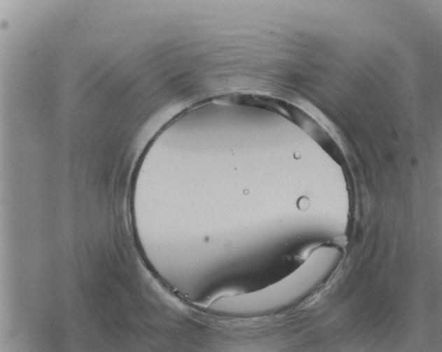 X0000076431293200610271724