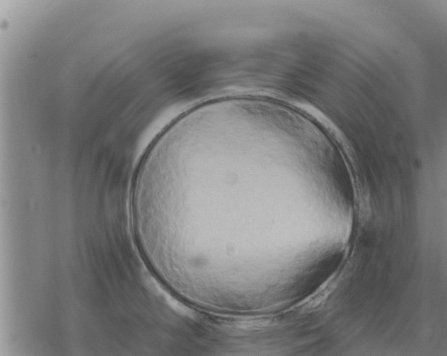 X0000076431294200610271724