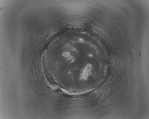 X0000076431297200610271723