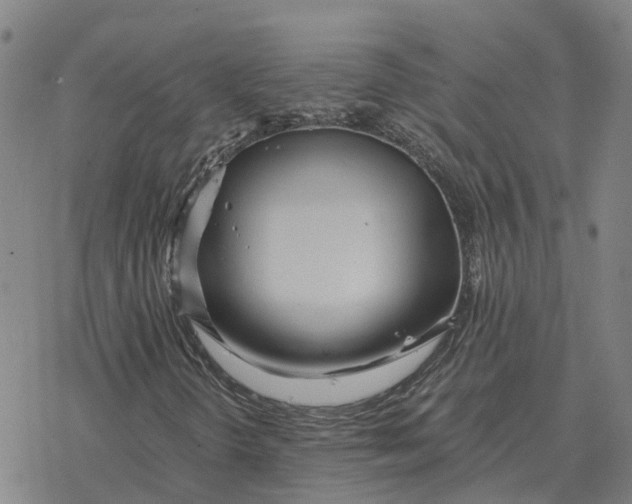 X0000076431298200610271723