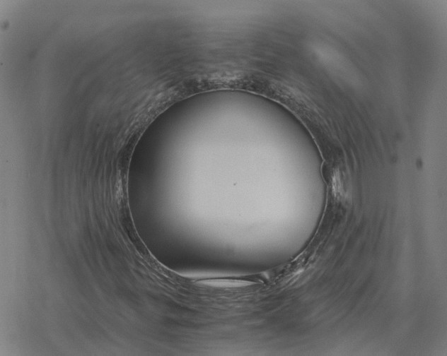 X0000076431299200610271723