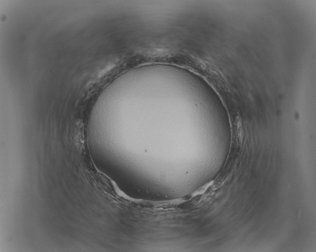 X0000076431301200610271723