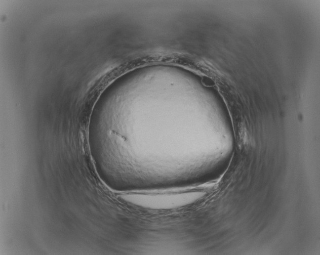 X0000076431302200610271723