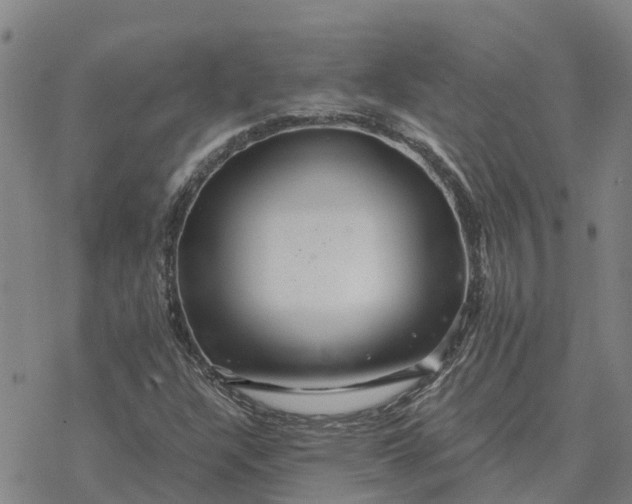 X0000076431304200610271723