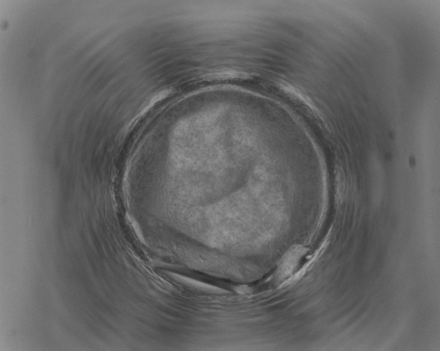 X0000076431305200610271723