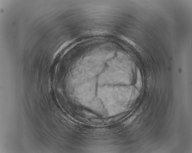 X0000076431306200610271723