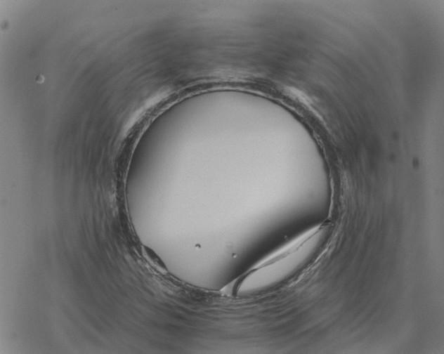 X0000076431307200610271723