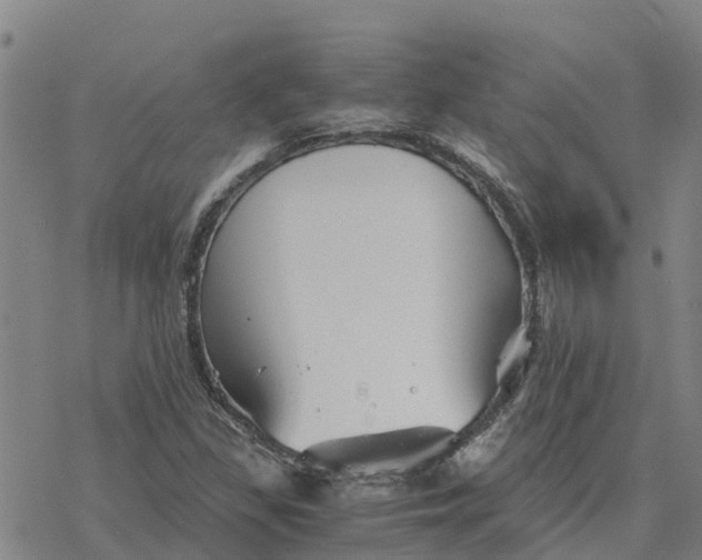 X0000076431309200610271723