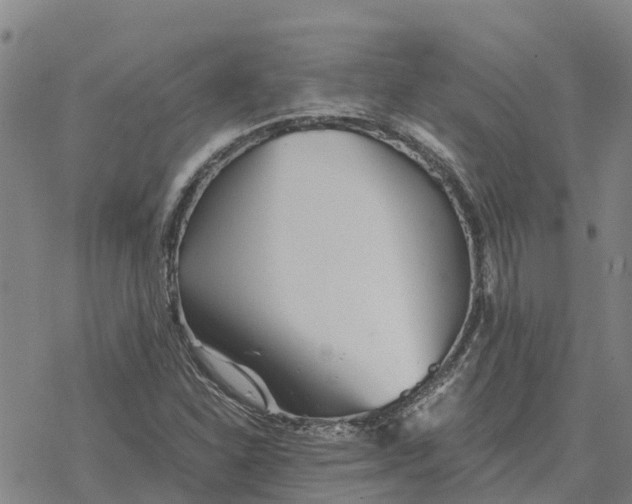 X0000076431310200610271723