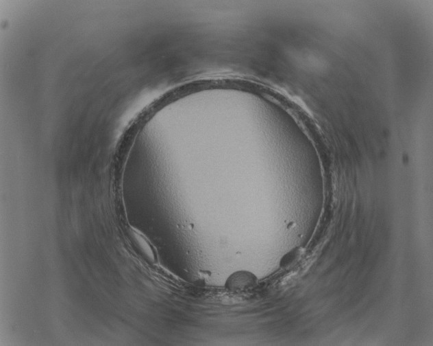 X0000076431311200610271723