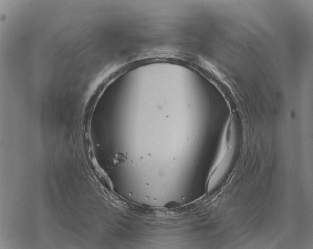 X0000076431312200610271723