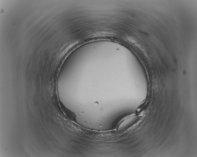 X0000076431313200610271723