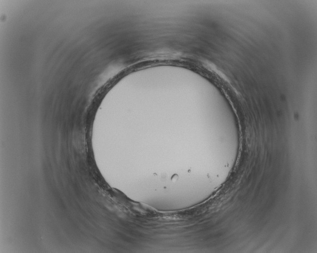 X0000076431315200610271723