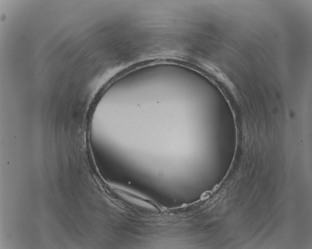 X0000076431316200610271723