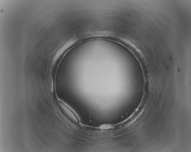 X0000076431317200610271723