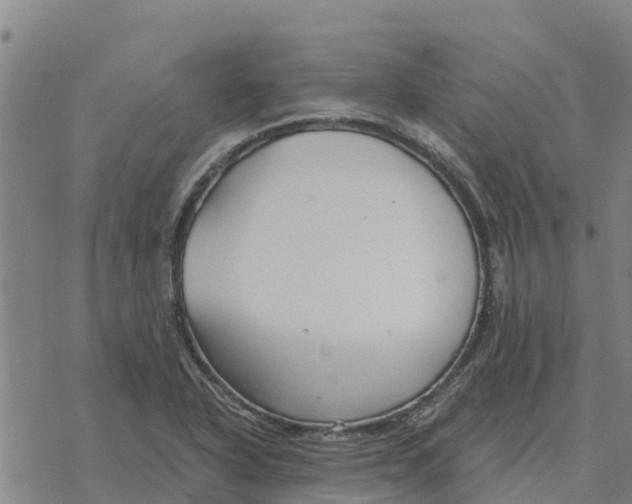 X0000076431318200610271723