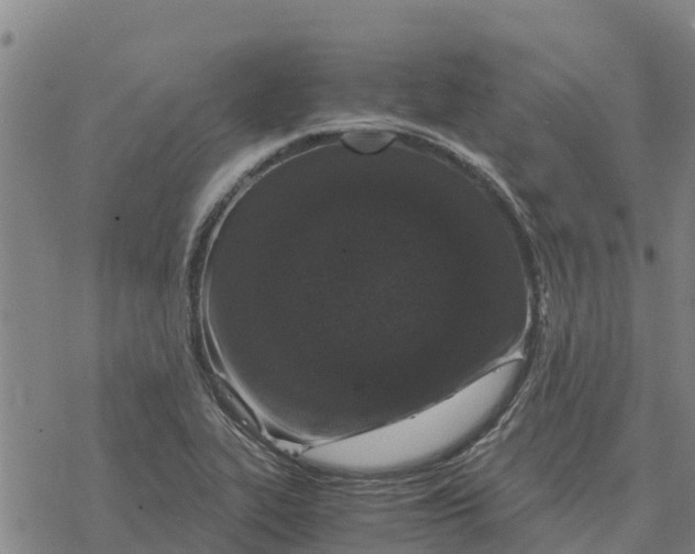 X0000076431319200610271723