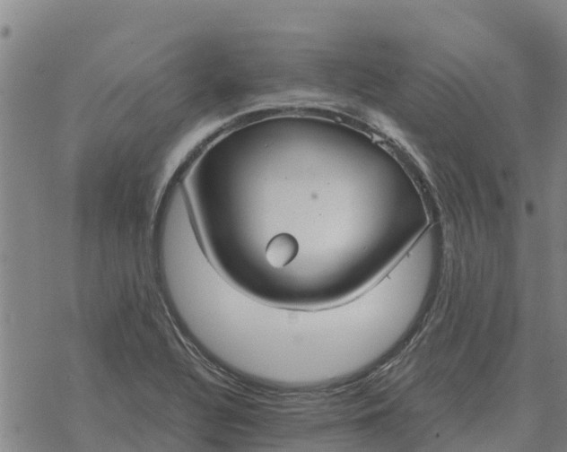 X0000076431320200610271723