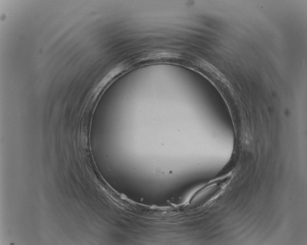 X0000076431321200610271723