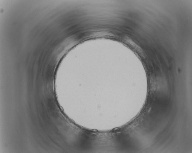 X0000076431322200610271723