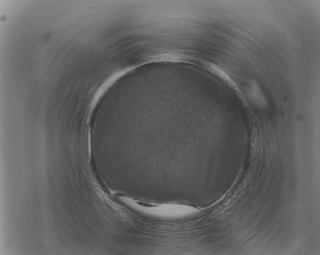 X0000076431323200610271723