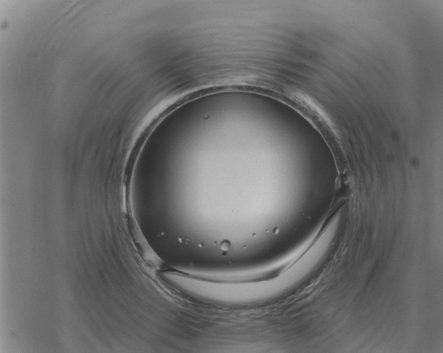 X0000076431324200610271723