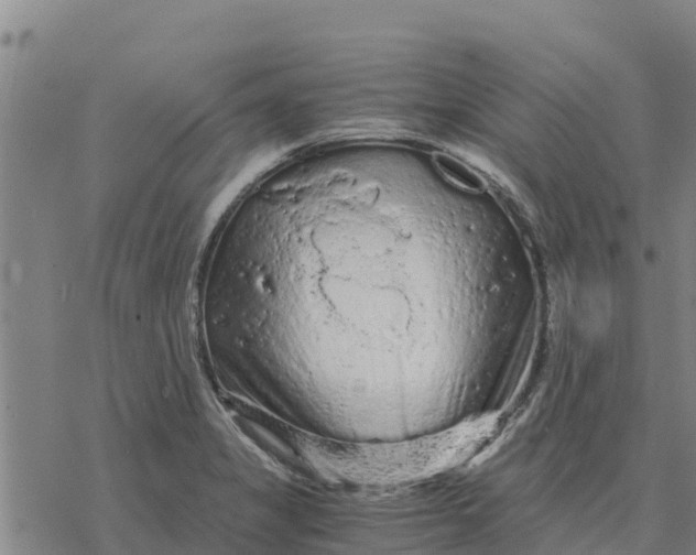 X0000076431325200610271723