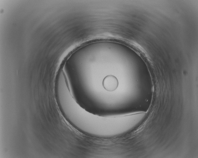 X0000076431326200610271723