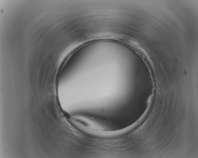 X0000076431328200610271723