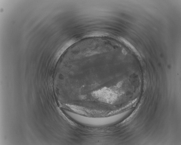 X0000076431329200610271723