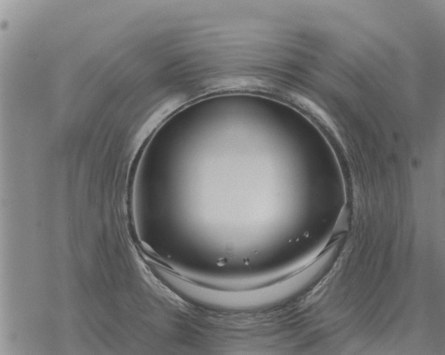 X0000076431330200610271723