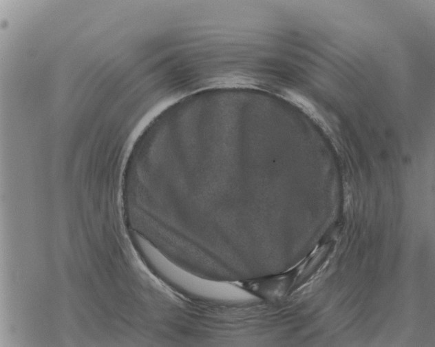 X0000076431331200610271723