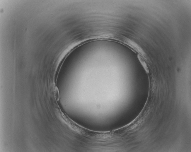 X0000076431332200610271723