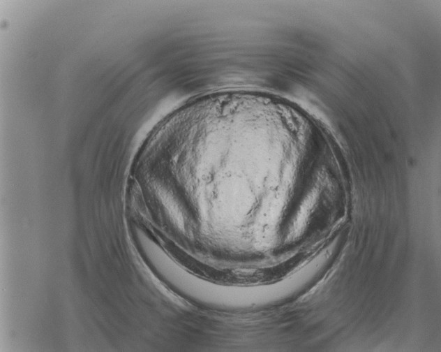 X0000076431333200610271723