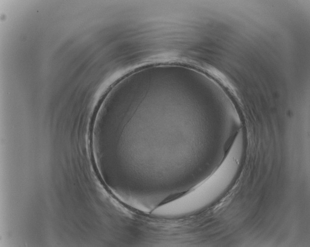 X0000076431334200610271723