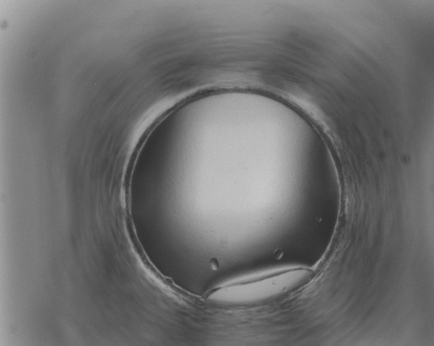 X0000076431335200610271723