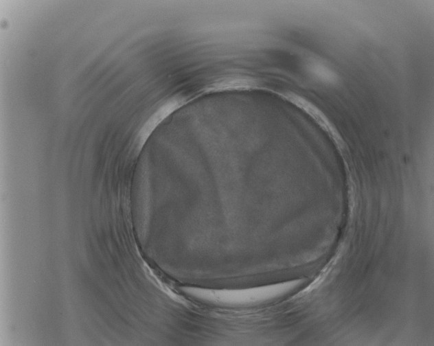 X0000076431337200610271723