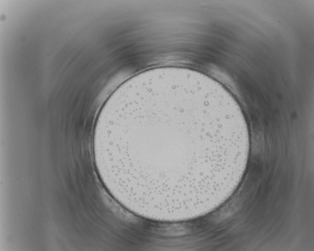 X0000076431338200610271723