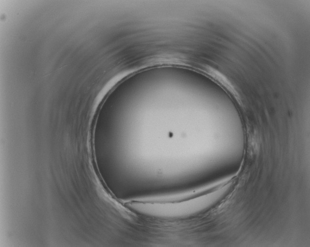 X0000076431339200610271723