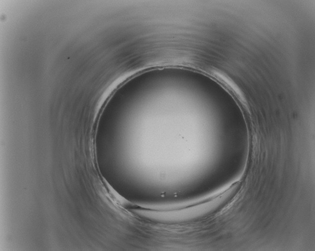 X0000076431340200610271724