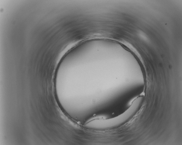 X0000076431341200610271724