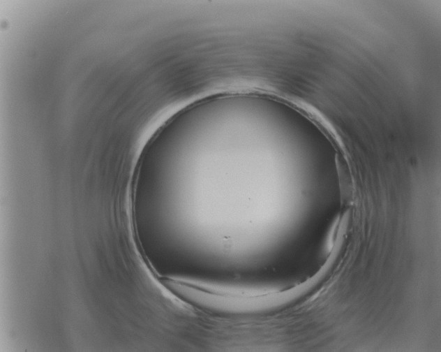 X0000076431343200610271724