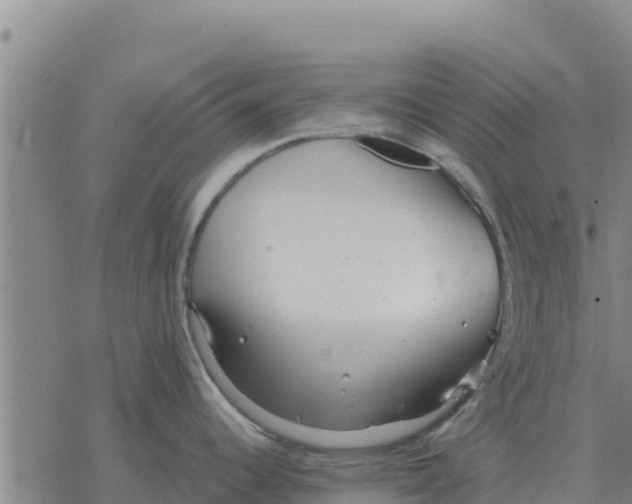 X0000076431344200610271724