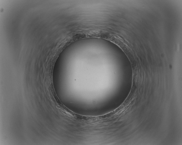 X0000076431345200610271723