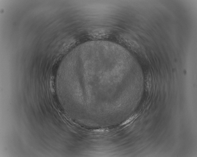 X0000076431346200610271723